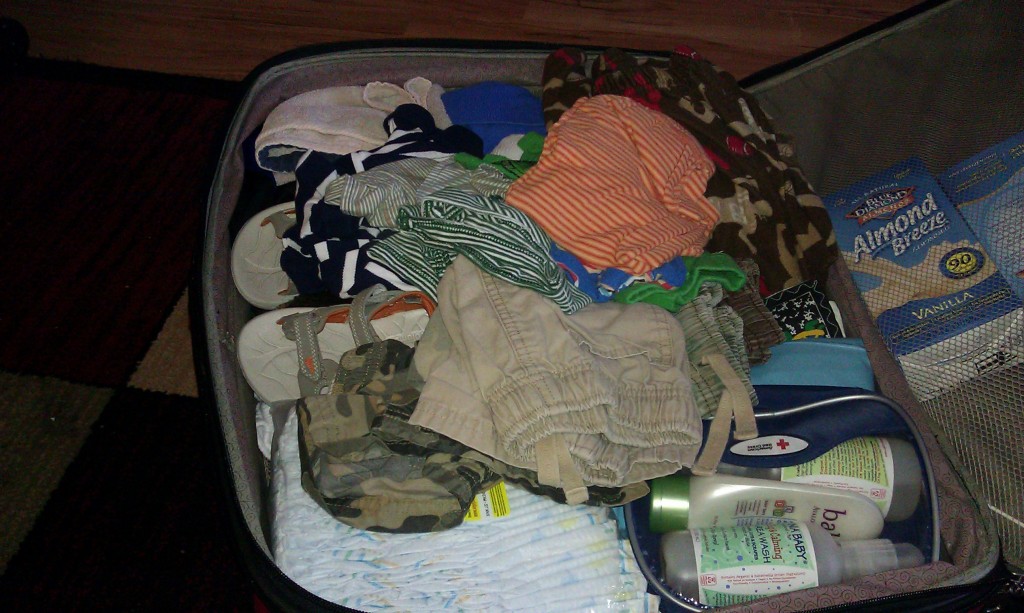 Space Bags To Go Review Saving money on Baggage Fees