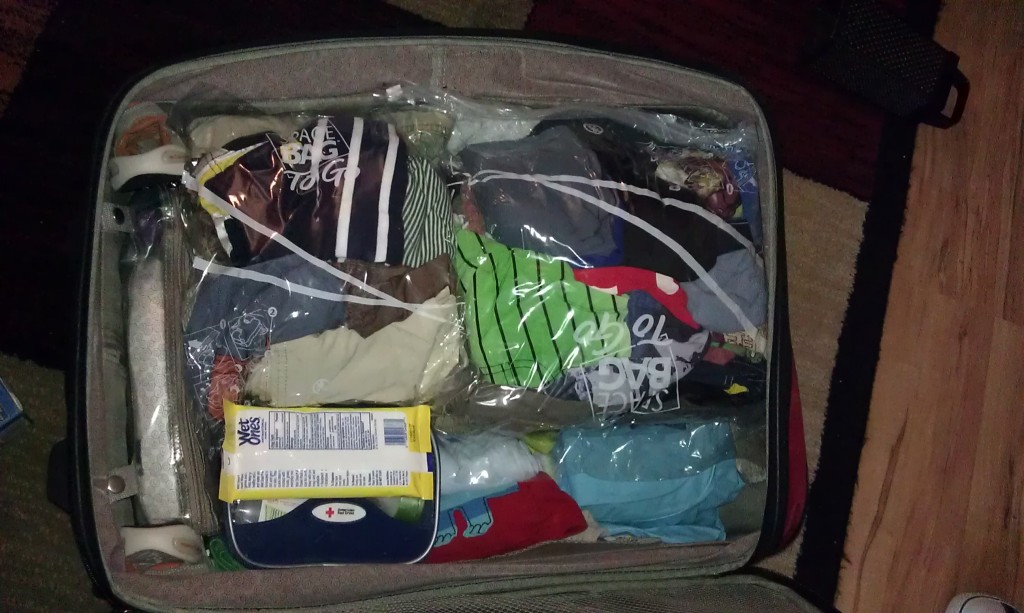 Space Bags To Go Review Saving money on Baggage Fees