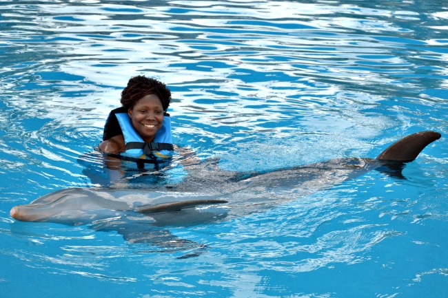 Puerto Vallarta Dolphin Experience