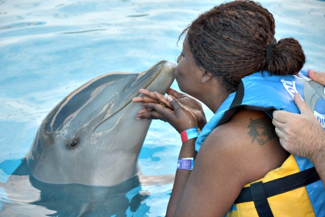 Puerto Vallarta Dolphin Experience