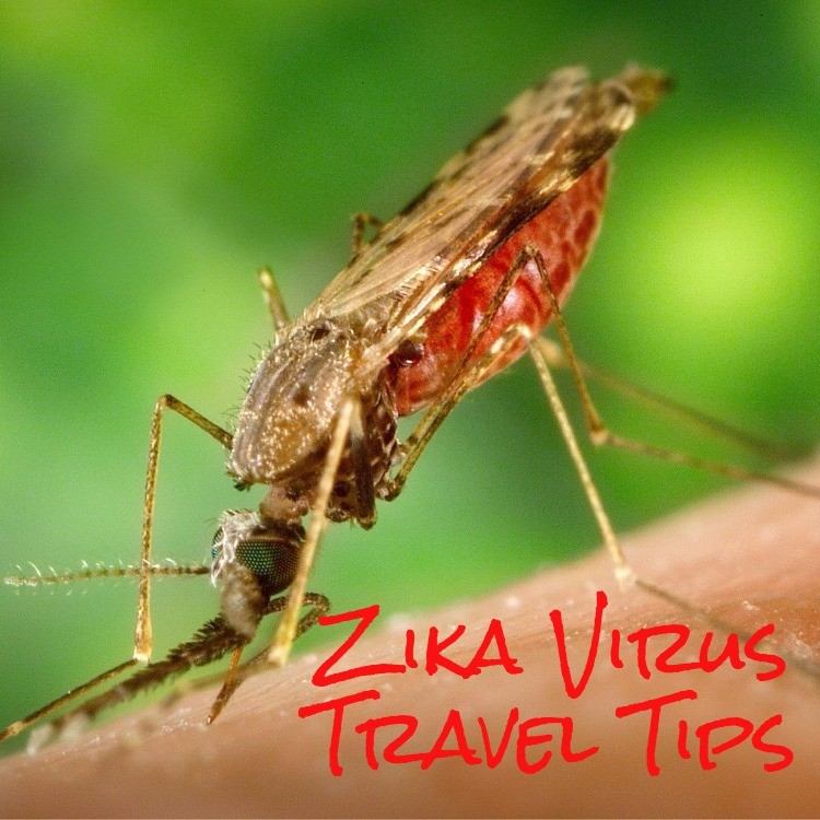 Where is Zika Virus tips