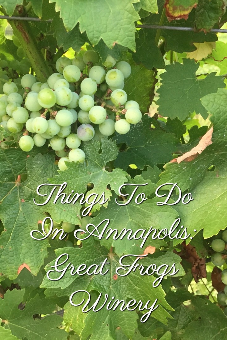 Things To Do In Annapolis
