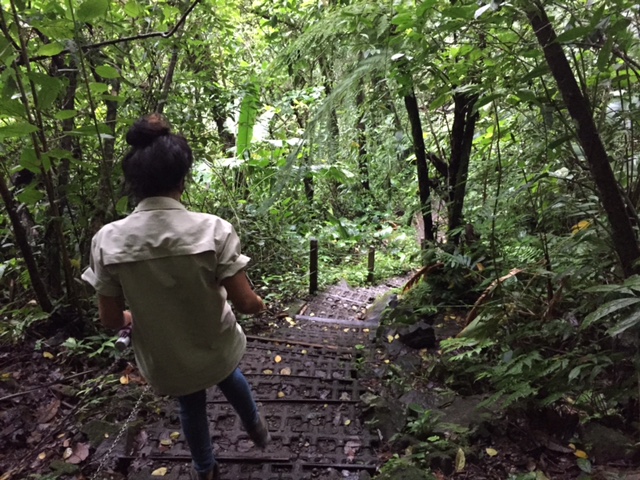 Steps in Costa Rica