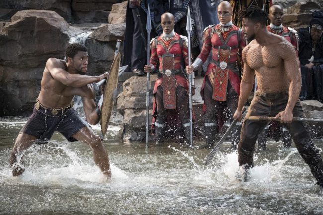 Black Panther Fight Scene