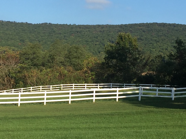 Big Cork Vineyard Blue Ridge Mountains