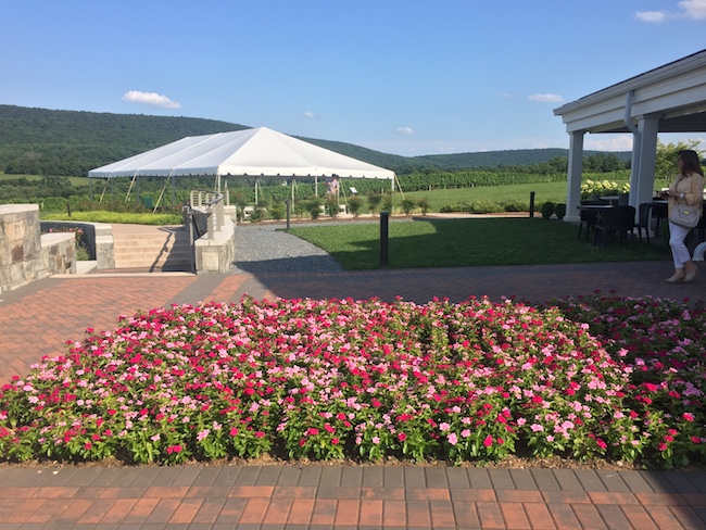 Places to Go In Hagerstown: Big Cork Vineyard