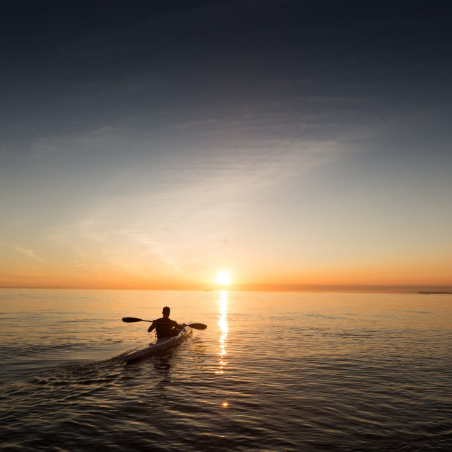 Charleston Travel Guide  Charleston Tourism - KAYAK